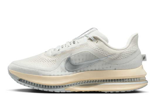 Pegasus Premium Men's :Platinum Tint | Reflect Silver
