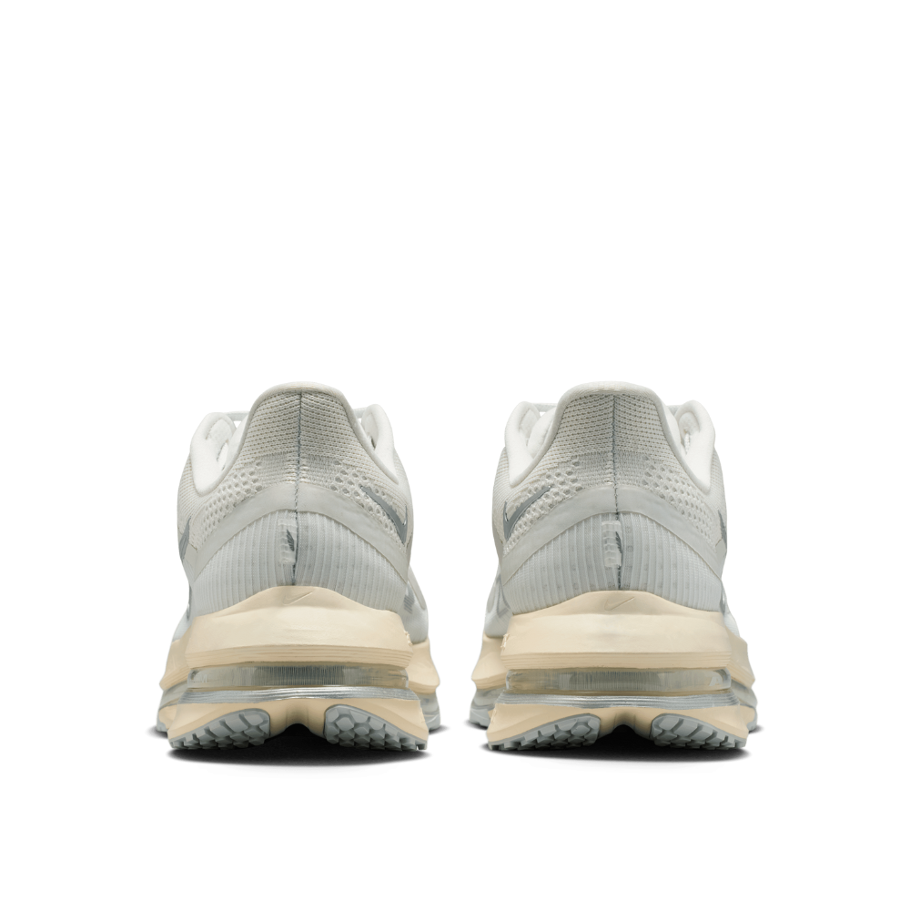 Pegasus Premium Men's :Platinum Tint | Reflect Silver