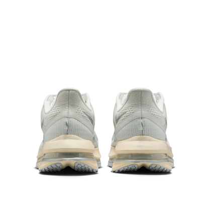 Pegasus Premium Men's :Platinum Tint | Reflect Silver
