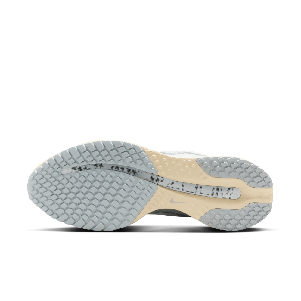 Pegasus Premium Men's :Platinum Tint | Reflect Silver